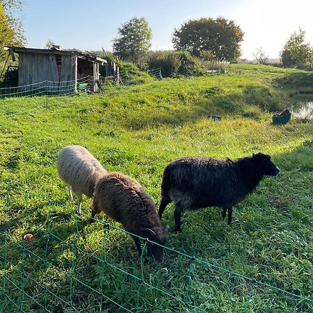 Ferienhaus Raabe Splietsdorf المظهر الخارجي الصورة