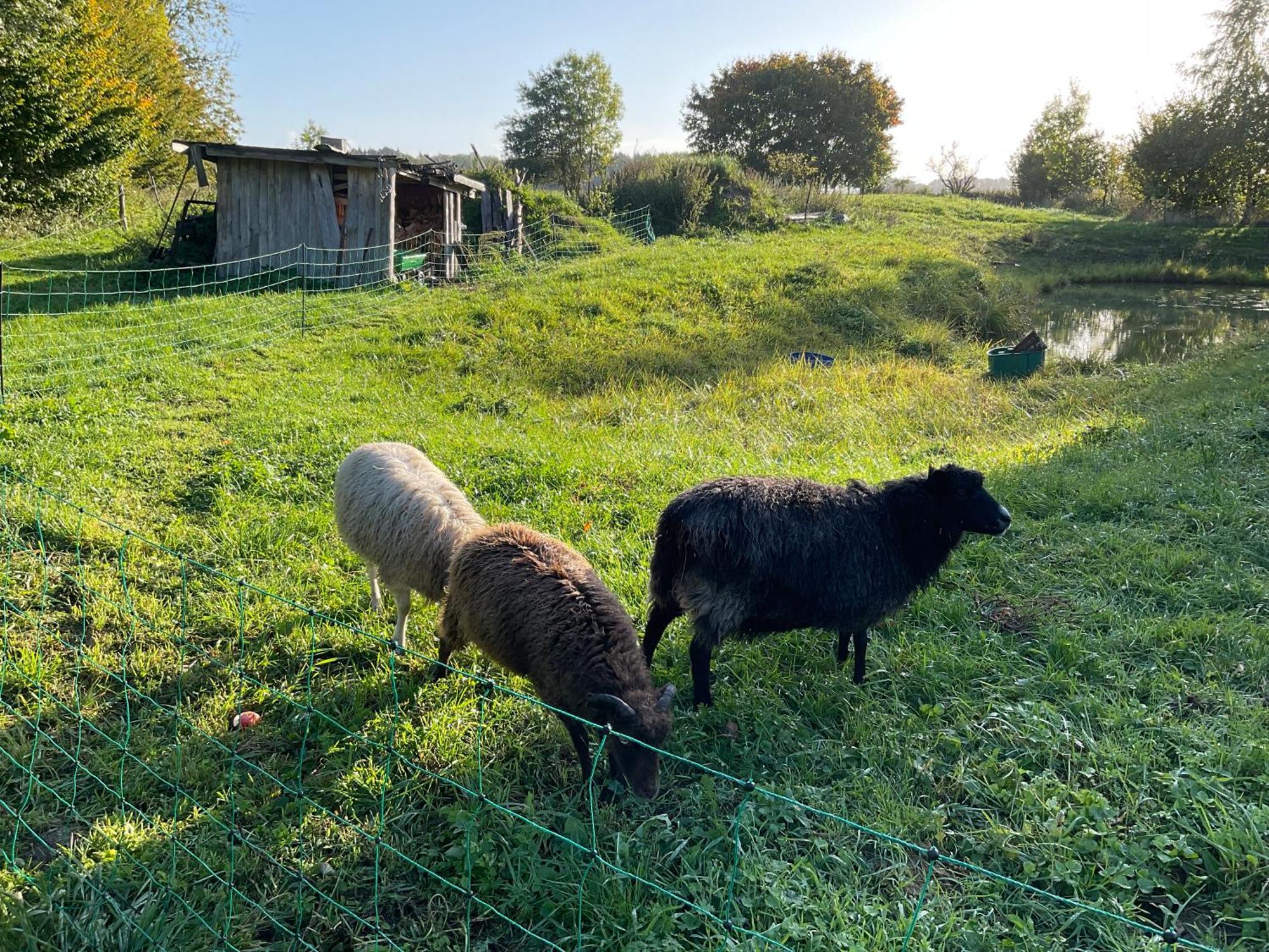 Ferienhaus Raabe Splietsdorf المظهر الخارجي الصورة
