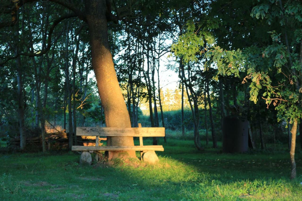 Ferienhaus Raabe Splietsdorf المظهر الخارجي الصورة